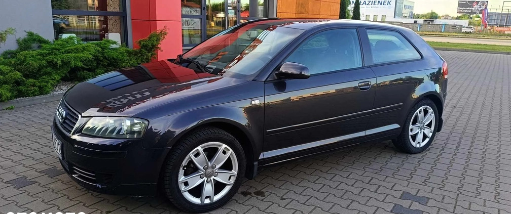 Audi A3 cena 15900 przebieg: 183000, rok produkcji 2004 z Radom małe 106